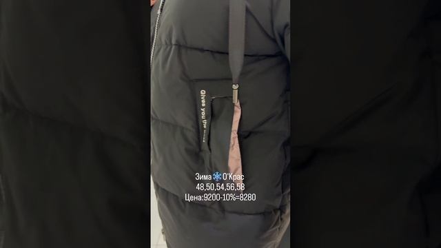 scene_output.mp4