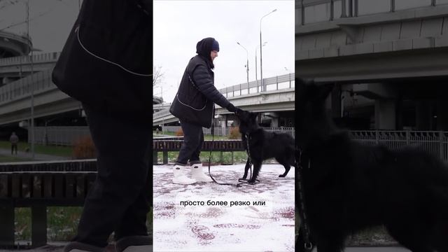 Туториал по моему любимому элементу в танцах с собаками. Enjoy ❤️