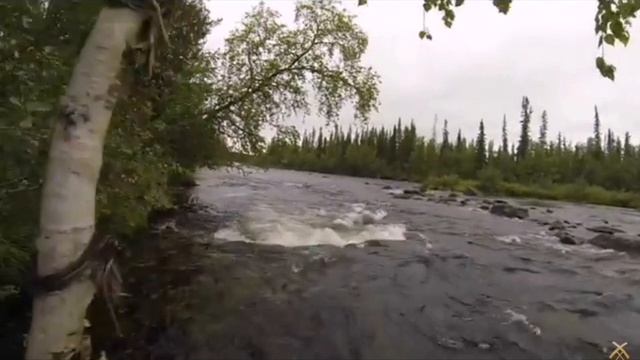 HwVideoEditor_2024_12_15_125012747.mp4