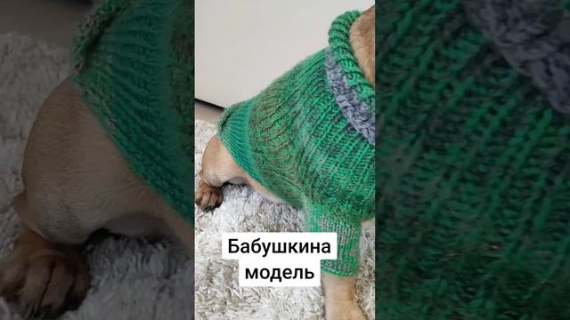 Жертва бабушкиной любви