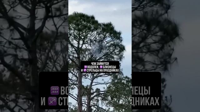 Больше подарков в моем канале, смотри в шапке профиля