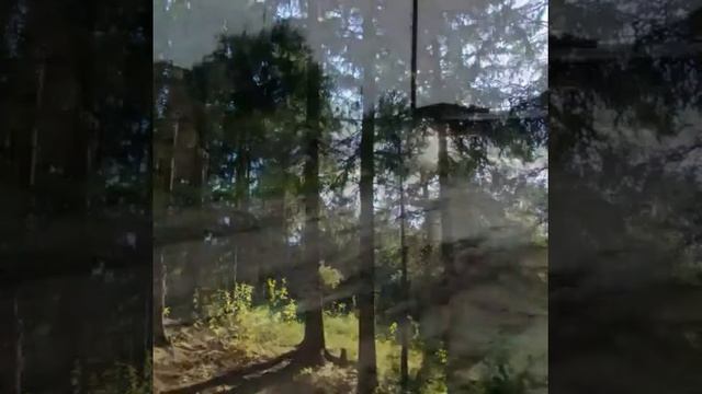 Ностальгия