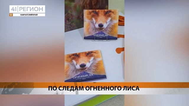 СЕРИЯ ВЫСТАВОК О ЛИСАХ ПРОШЛА В КАМЧАТСКИХ ДЕТСКИХ САДАХ • НОВОСТИ КАМЧАТКИ