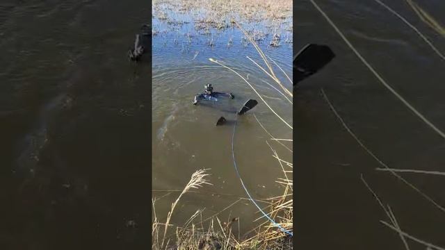 поиск телефона под водой ,с аквалангом и металлодетектором