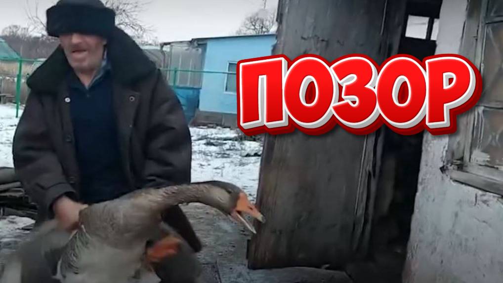 СОВЕСТЬ ПРОМЕНЯЛИ НА ГУСЯ " БЫТЬ ГУСЮ "