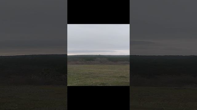 VID_20241222_155625.mp4