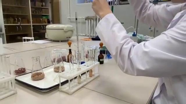 Сириус. "Определение свежести мяса"