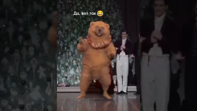 Вот такие они,будни питомника 😄😂😂