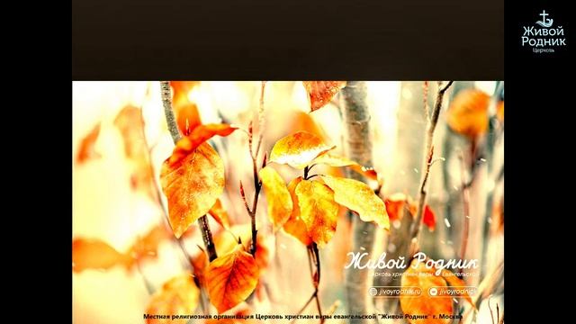 Освободись от бремени и будешь иметь радость в Господе - брат Сергей