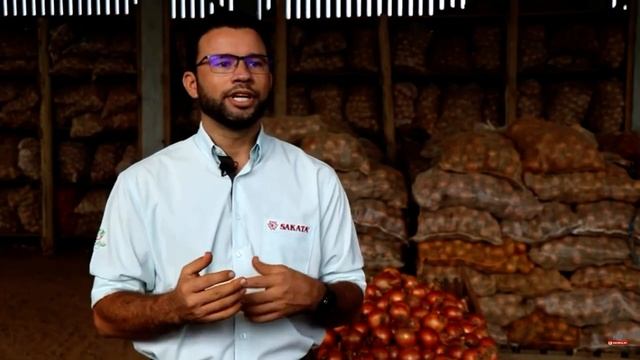 Destaques: cebolas Show de Bola e Bola de Ouro