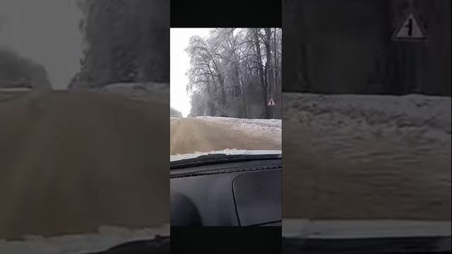 1000075546.mp4