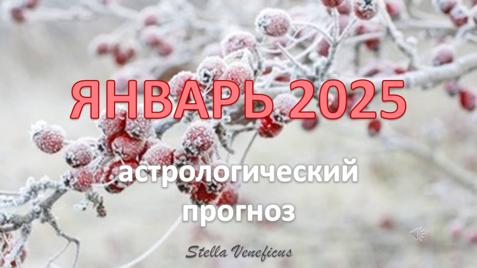 ЯНВАРЬ 2025 г. - ОБЩИЙ АСТРОЛОГИЧЕСКИЙ ПРОГНОЗ.