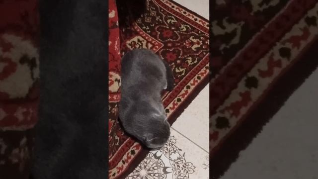 отдых