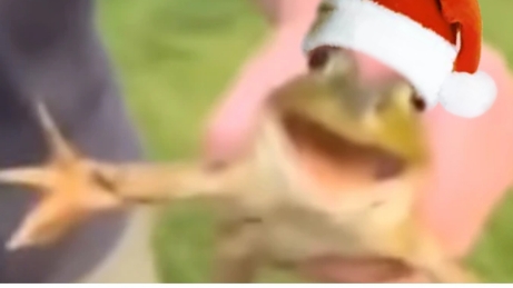 24-12-2024