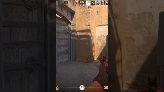 Zeus24122401