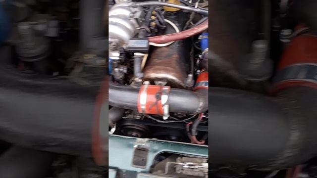 1000009841.mp4
