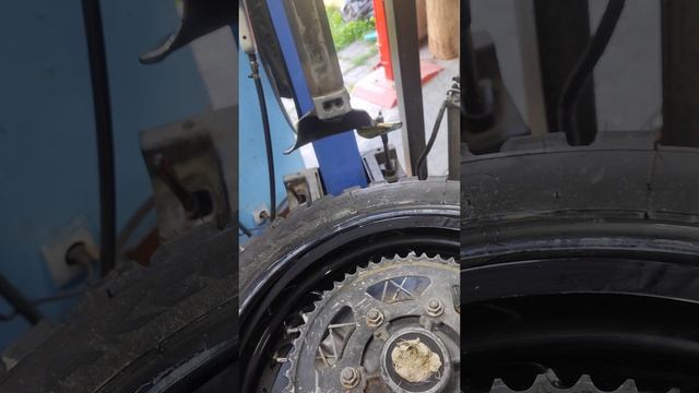 Любовь и мотоколеса