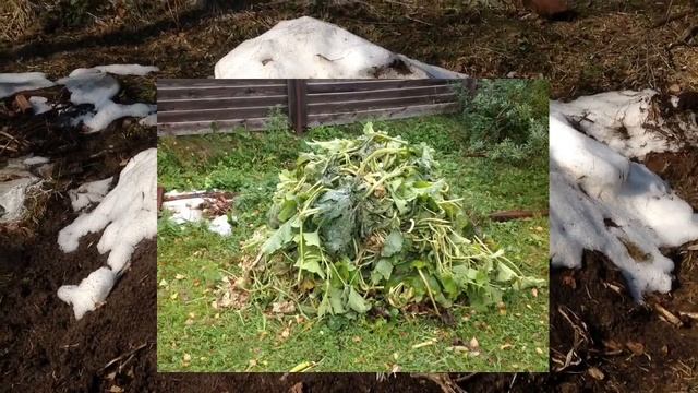 ГАЛОПОМ по ОГОРОДУ 2018. ГАЛОП первый. 14 апреля. Выращивание в мешках (в Каркасных КАШПО).