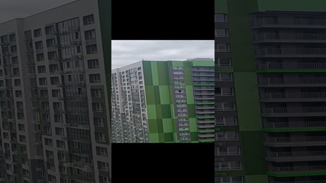 1000259487.mp4