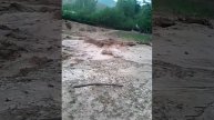 Сари пулак сел