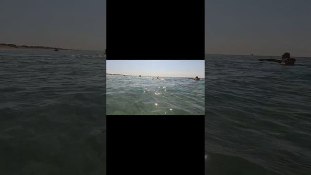 Моя Любимая Станица Благовещенская