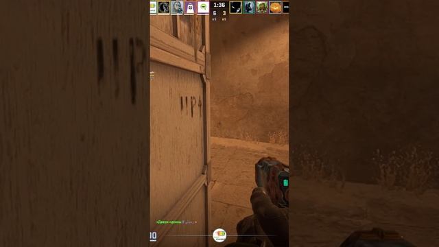 Zeus24122402