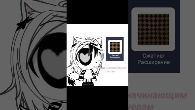 scene_output.mp4