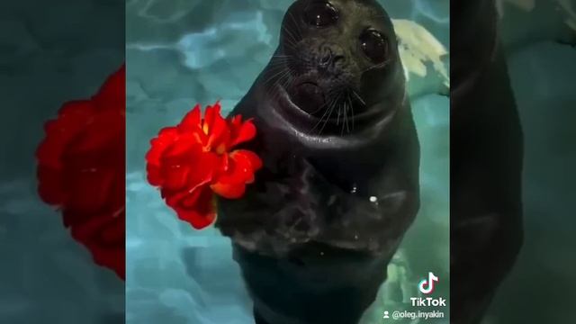 2024-12-23-163037442.mp4
