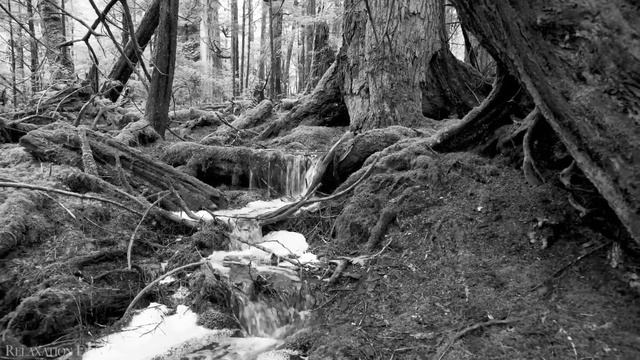 22. 22.Зинаида Миркина.У самого моря,у самого Бога