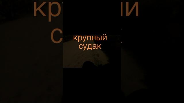 рыбалка на спиннинг москва-река. зимний спиннинг. район Чулкова.