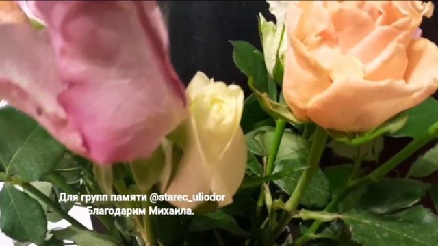 Илиодор Милостивый молится