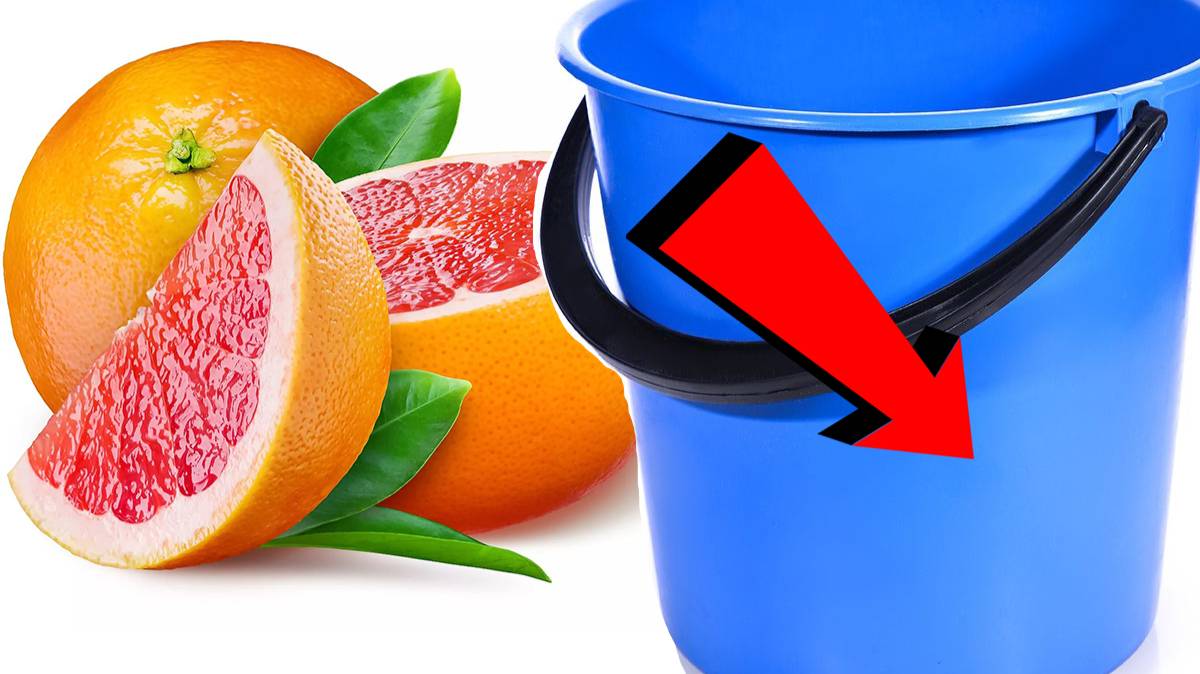 Как подкормить грейпфрут За 3 Секунды!!!