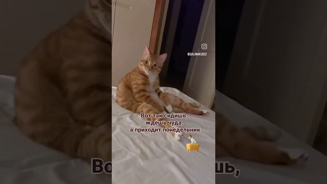 анегдот