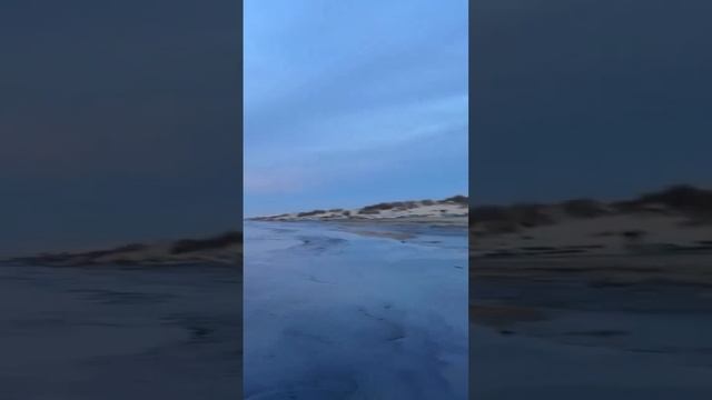 📹 Спасение птиц на загрязненном пляже в Анапе, Краснодарский край.