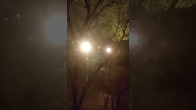 Птичка в 2 часа ночи