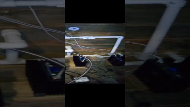 VID_20241218_095132.mp4