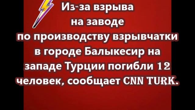 Из-за взрыва на заводе по производству взрывчатки в городе Балыкесир на западе Турции погибли 12 чел