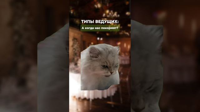 Какой тип ведущего понравился больше всего? 😁 #ведущие