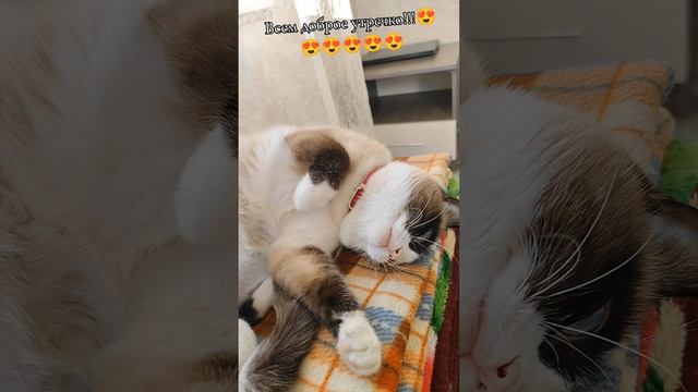 #Моя😍😍😍😍😍