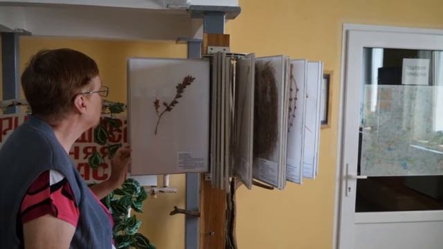 Чудеса Турова