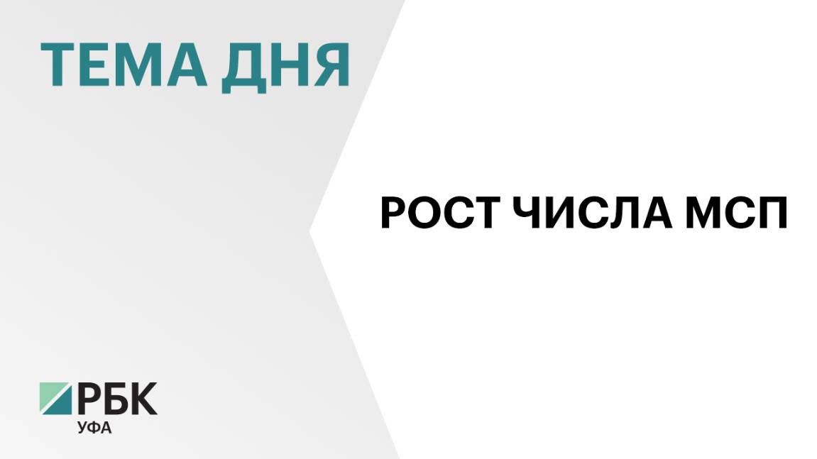 В Башкортостане на 4,5% увеличилось число малого и среднего бизнеса