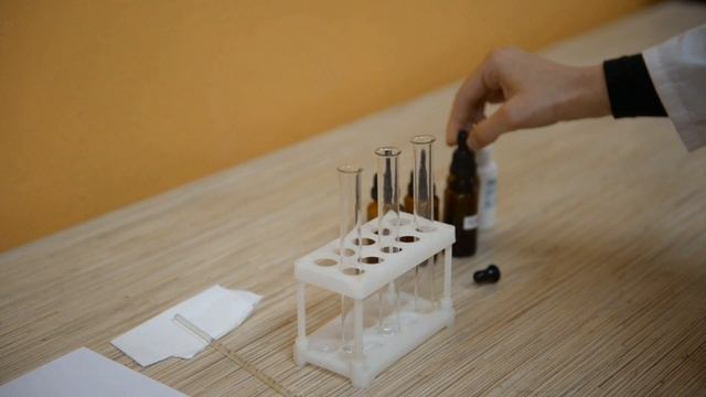 Февральская естественно научная программа 2025 Сириус