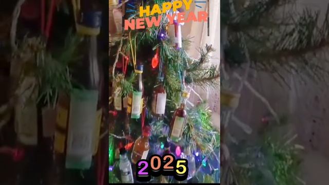 С наступающим новым годом 2025.mp4