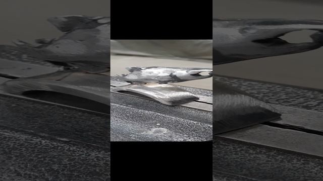 1000101131.mp4