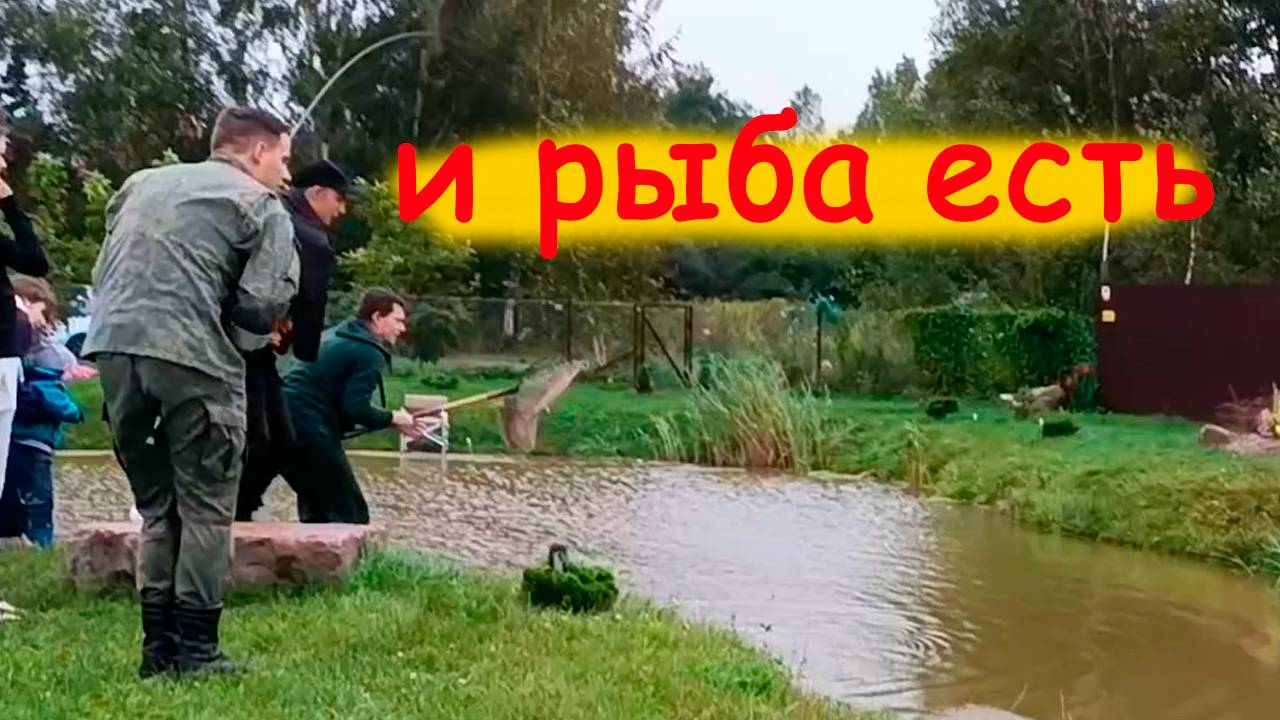 А тут и рыбалка есть