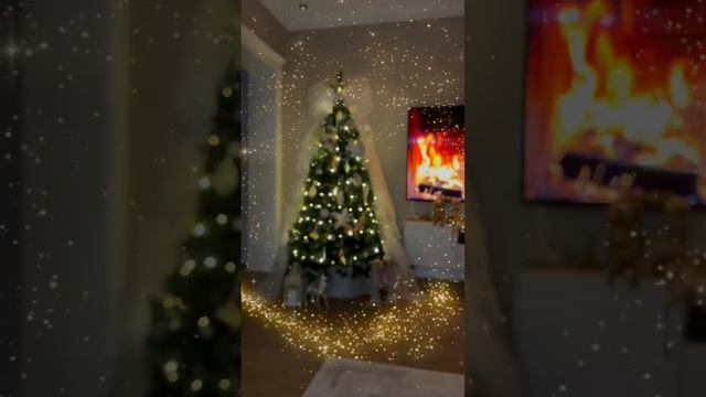 Наша новогодняя ёлка