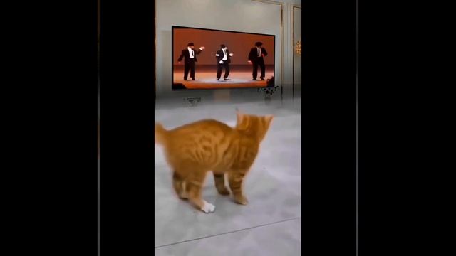 Танец