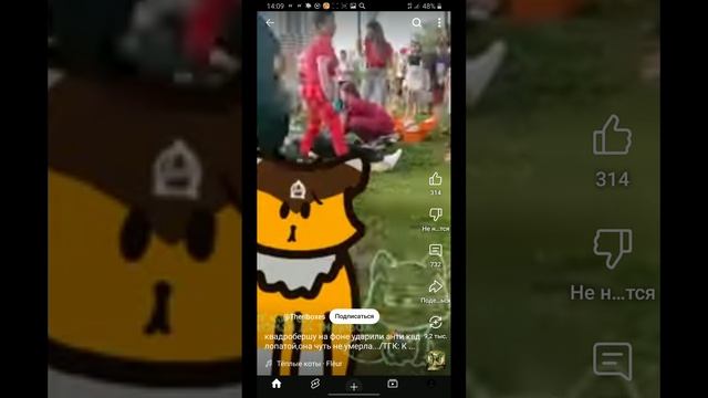 видео из Ютуб
и говорят что квд агрисивны