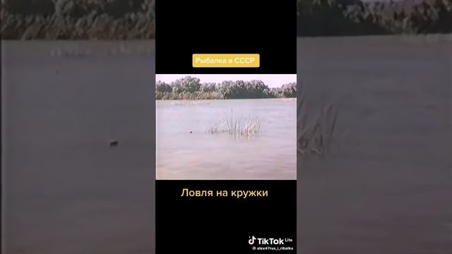 про рыбалку в Астрахани