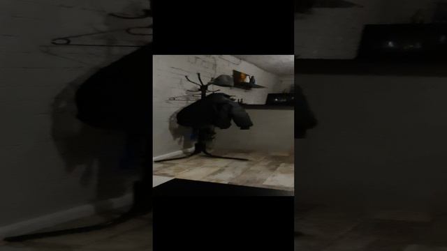 20241224_075549_001.mp4